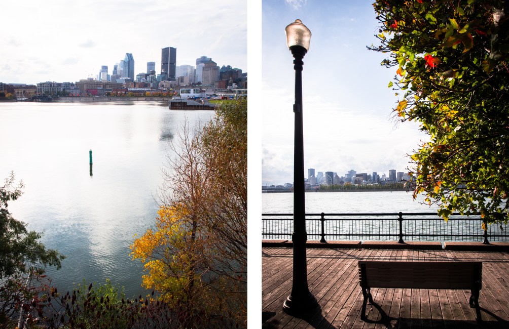 fleuve st laurent montréal-l automne à montréal-skyline montréal