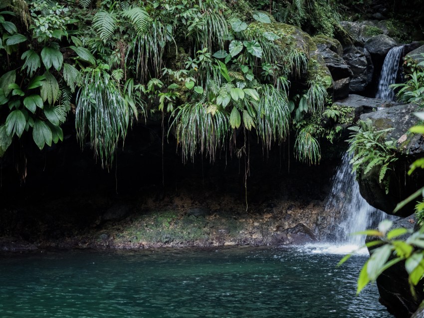 cascade paradise guadeloupe - capesterre belle eau - guadeloupe foret tropicale