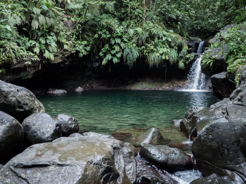 bassin paradise-cascade guadeloupe-capesterre belle eau