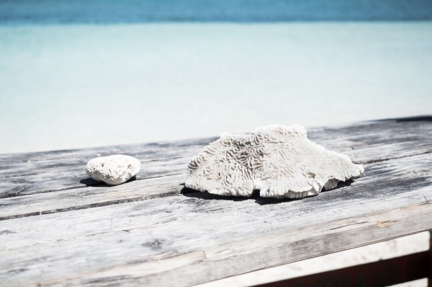 lagon bleu guadeloupe-lagon du grand cul de sac marin guadeloupe-ile du caret guadeloupe-