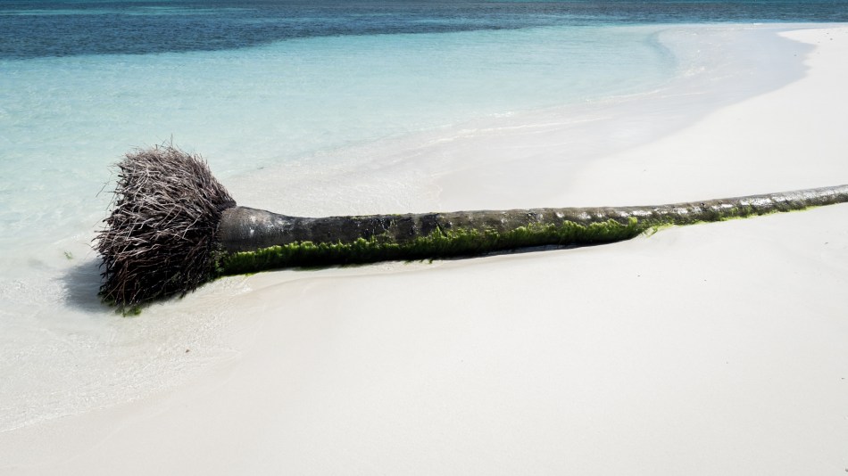 lagon du grand cul de sac marin guadeloupe-ile de caret-lagon bleu guadeloupe-sainte rose guadeloupe-