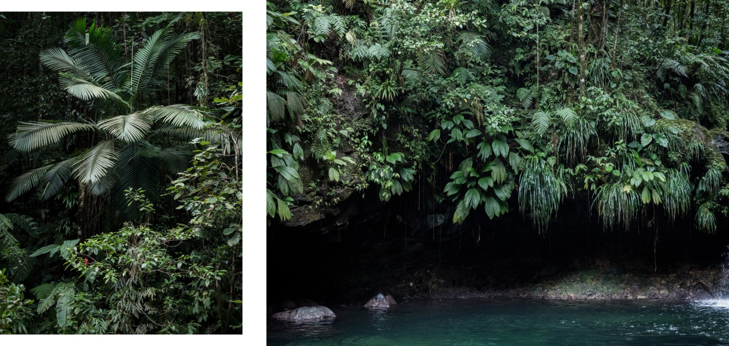 bassin paradise-guadeloupe cascade-capesterre belle eau-guadeloupe foret tropicale