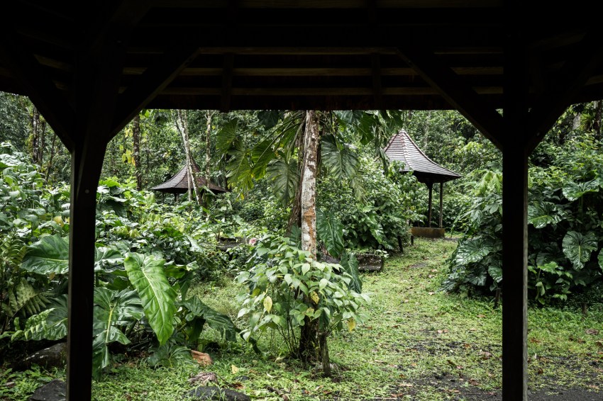 randonnée guadeloupe-cascade guadeloupe-guadeloupe foret tropicale