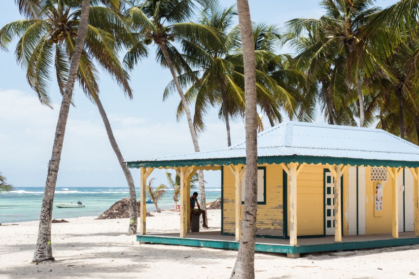guadeloupe plage-ile desirade-cocotiers guadeloupe