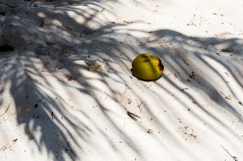 guadeloupe, la Désirade, caraïbes