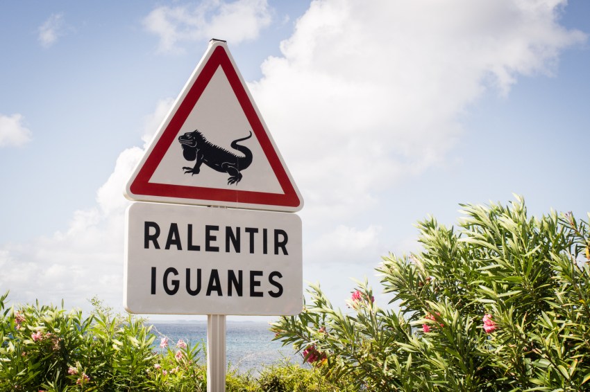 guadeloupe, la Désirade, caraïbes