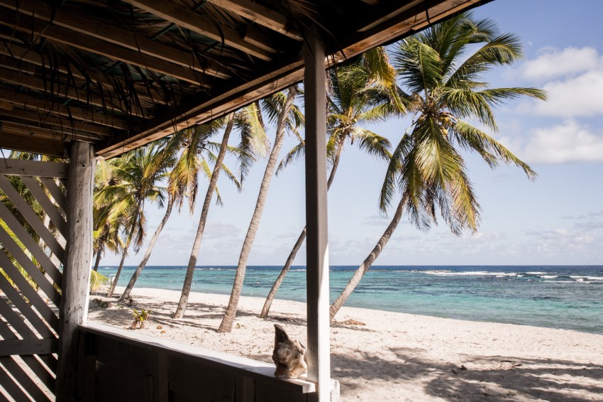 plage guadeloupe-ile desirade-bateau guadeloupe desirade-cocotiers guadeloupe