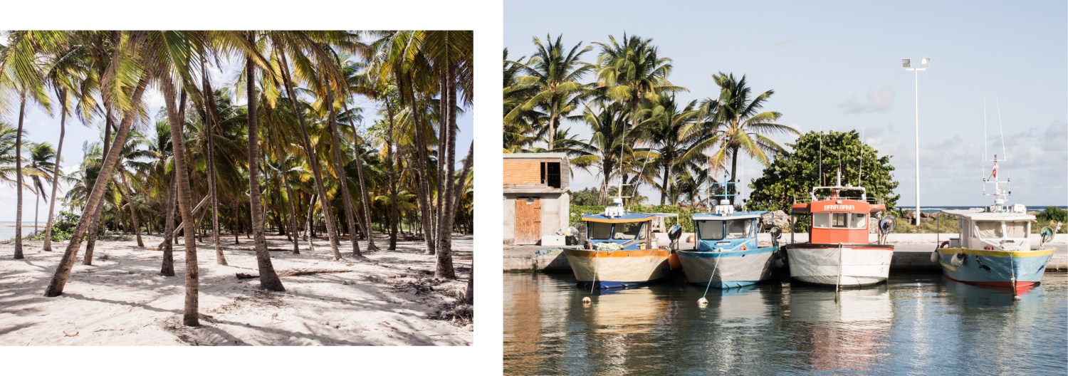 guadeloupe plage-ile desirade-bateau guadeloupe desirade-cocotiers guadeloupe