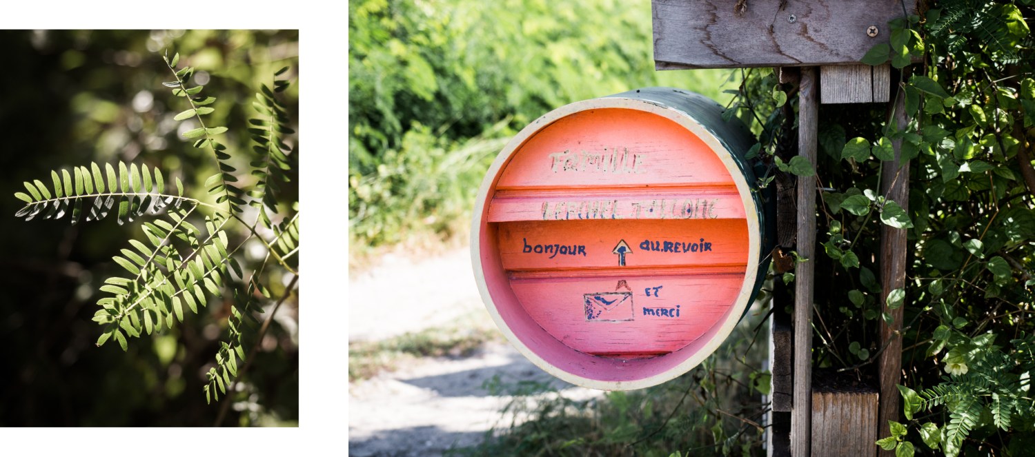 guadeloupe,case créole, la Désirade, caraïbes