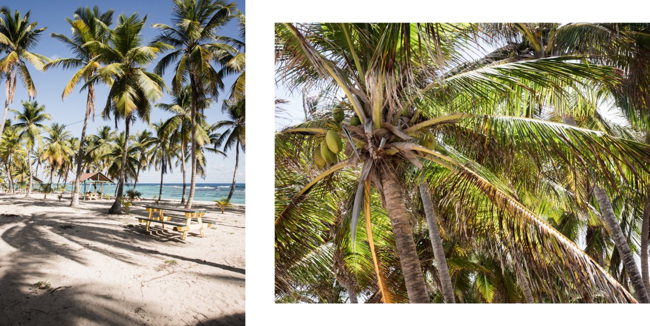 guadeloupe, la Désirade, caraïbes