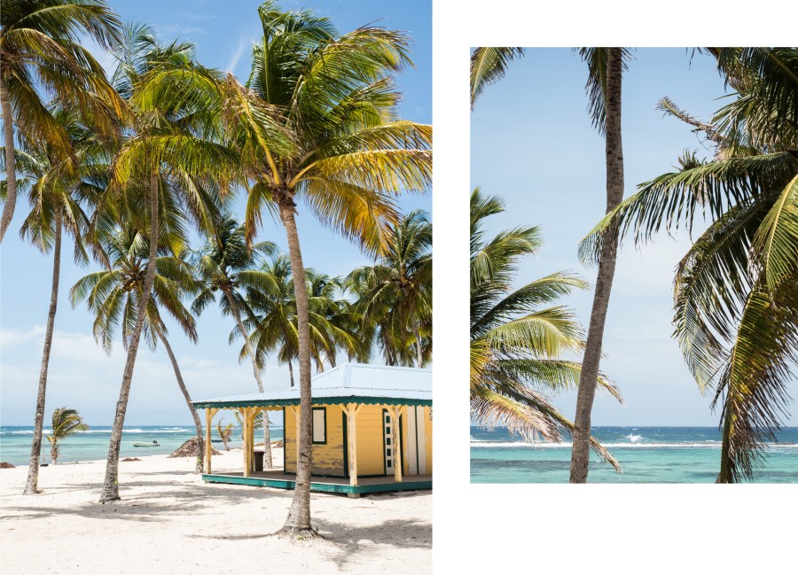 la désirade guadeloupe-les plus belles plages de guadeloupe