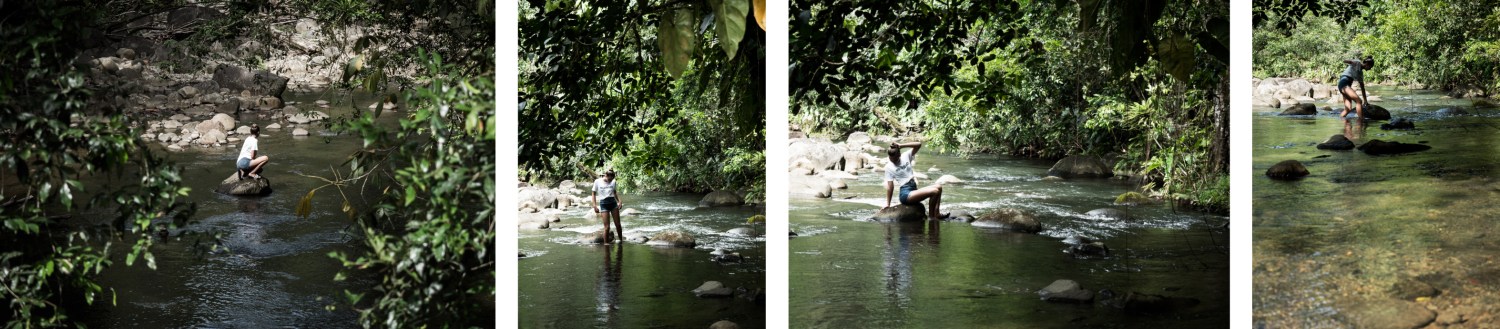 forêt tropicale, guadeloupe, basse terre, nature, tropical forest