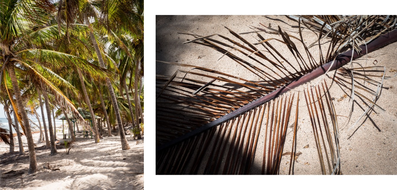 guadeloupe, la Désirade, caraïbes