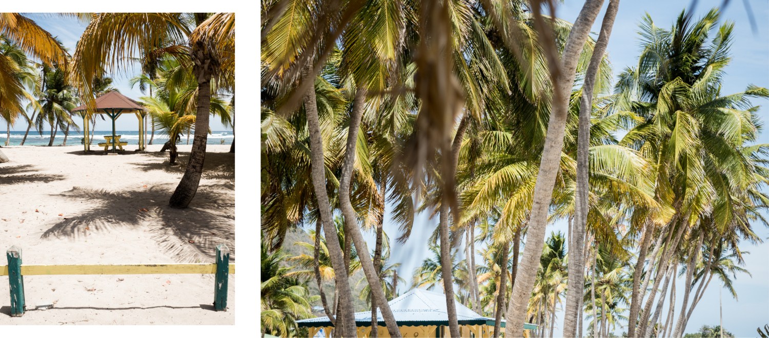 guadeloupe, la Désirade, caraïbes