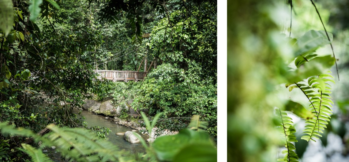 cascade guadeloupe-jungle guadeloupe-basse terre guadeloupe