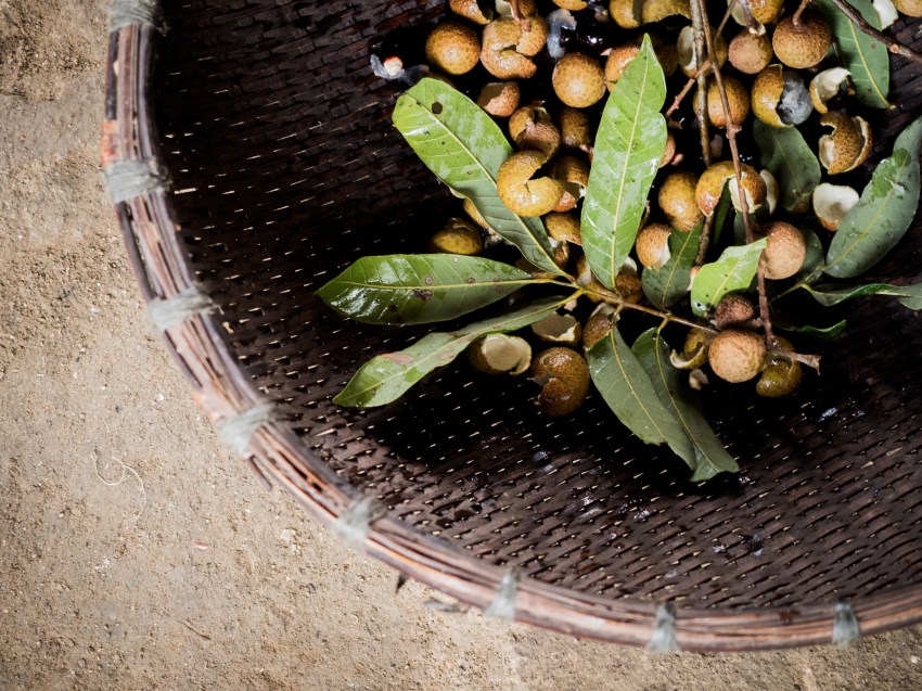 vietnam, ethnies minoritaire, portrait, rizières