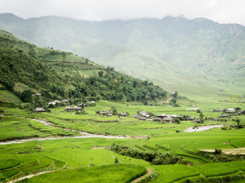 photo riziere vietnam-vietnam du nord-ethnies minoritaires du vietnam - lim thai - lim mong