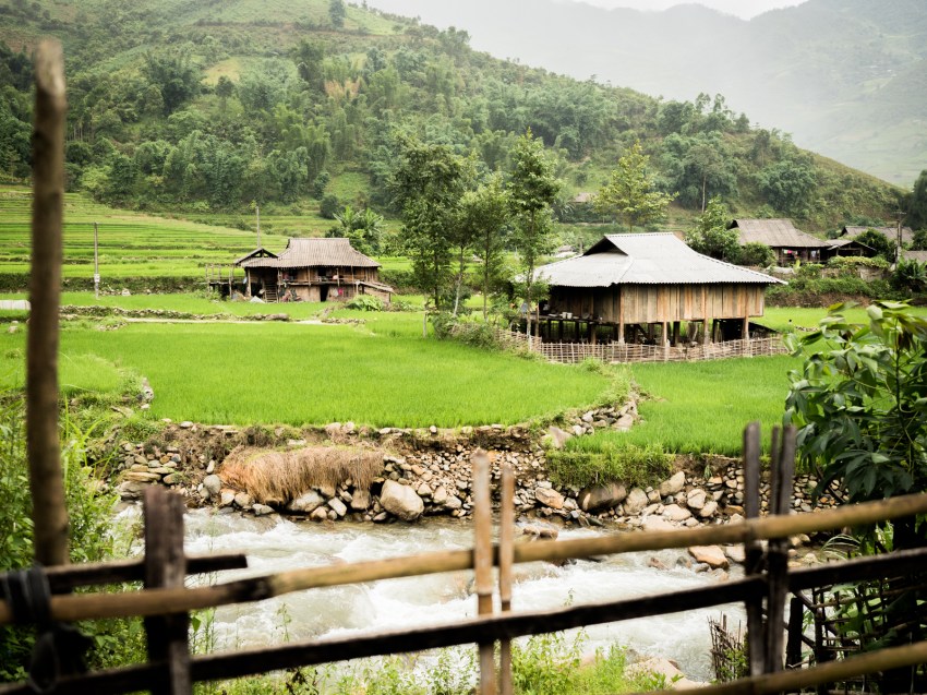 maison sur pilotis, lim thai, lim mong, vietnam, rizières