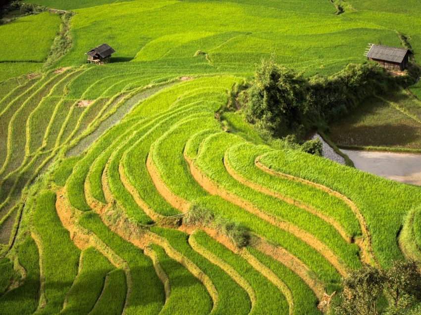 vietnam, ethnies minoritaire, portrait, rizières, la pan tan, mu cang chai