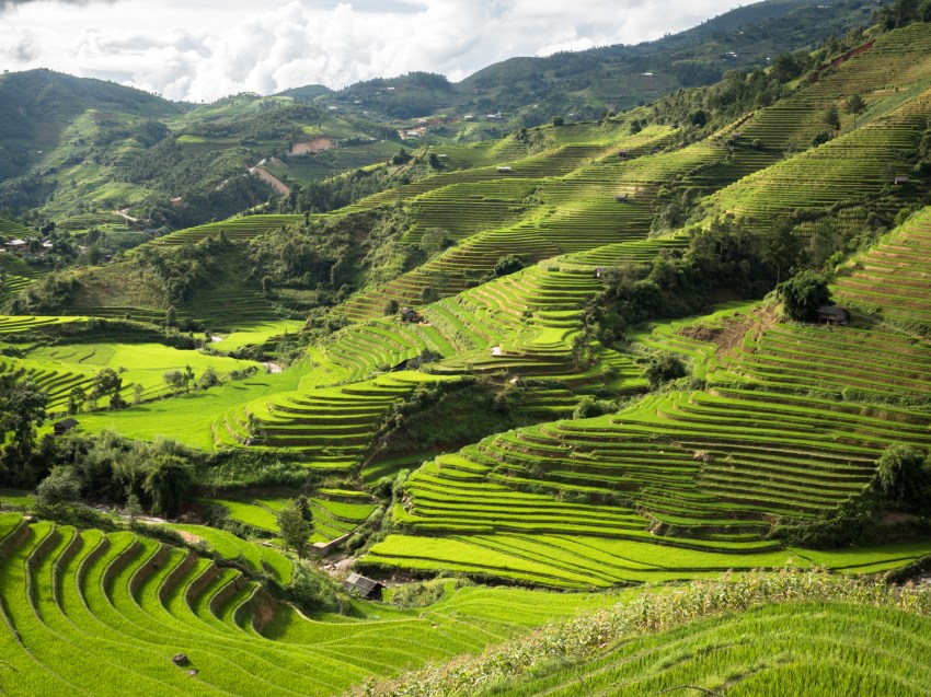 photo riziere vietnam-montagnes du nord vietnam-ethnies minoritaires du vietnam