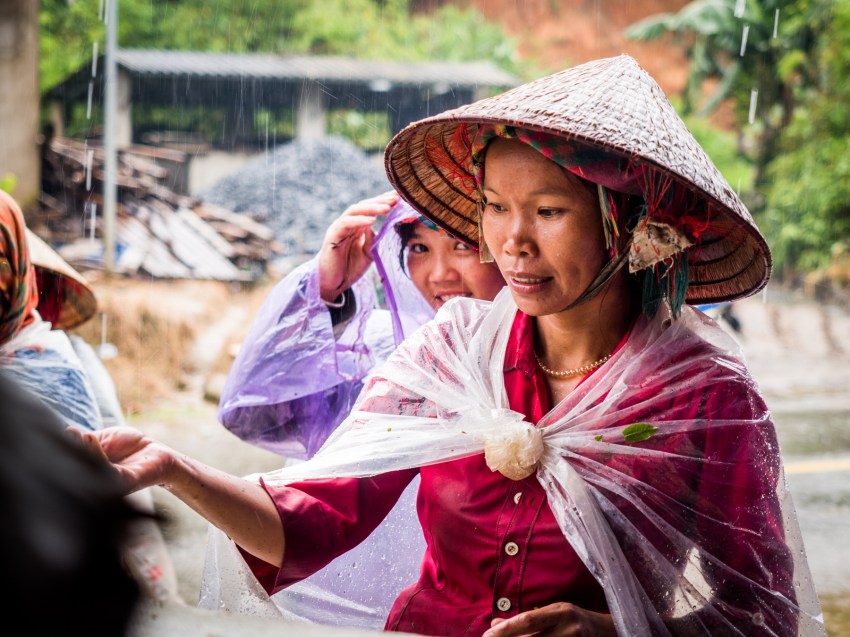 vietnam, ethnies minoritaire, thé vert, tan uyen