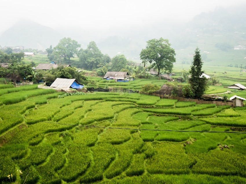 portraits ethniques, vietnam, ethnies minoritaire, ta van