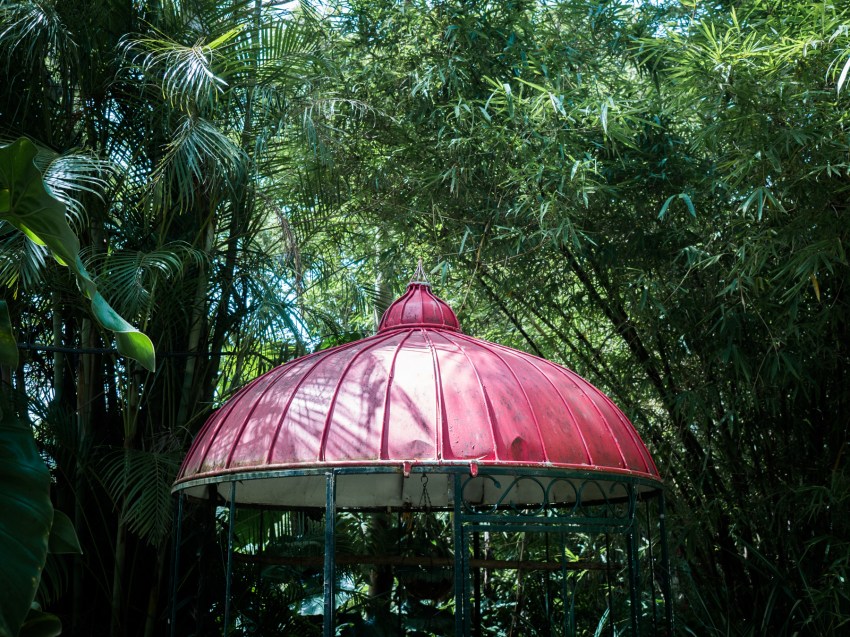 jardin botanique guadeloupe basse terre