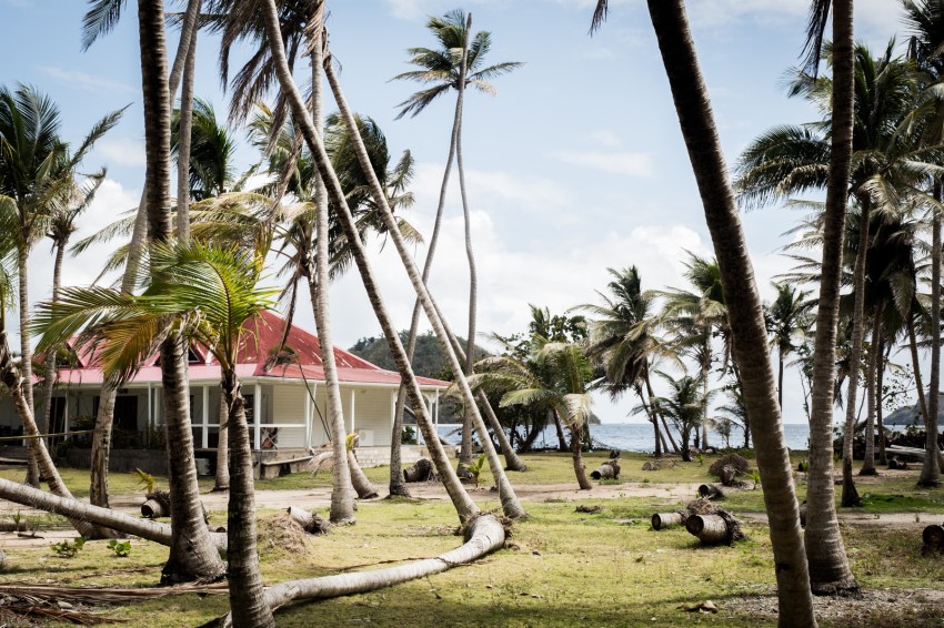 pain de sucre les saintes guadeloupe-terre de haut iles des saintes guadeloupe
