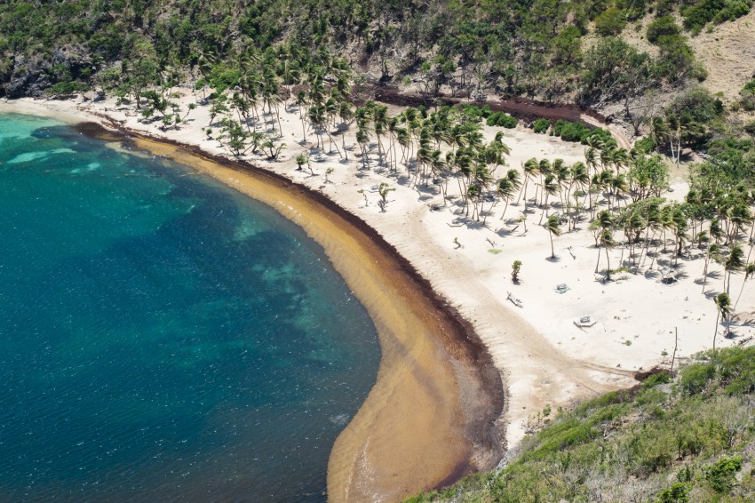 plage pompiere guadeloupe vue du ciel - terre de haut guadeloupe-archipel les saintes