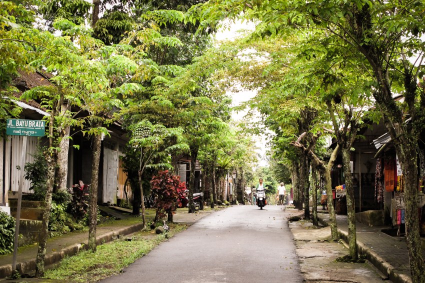 bali, temple, ubud, cérémonie