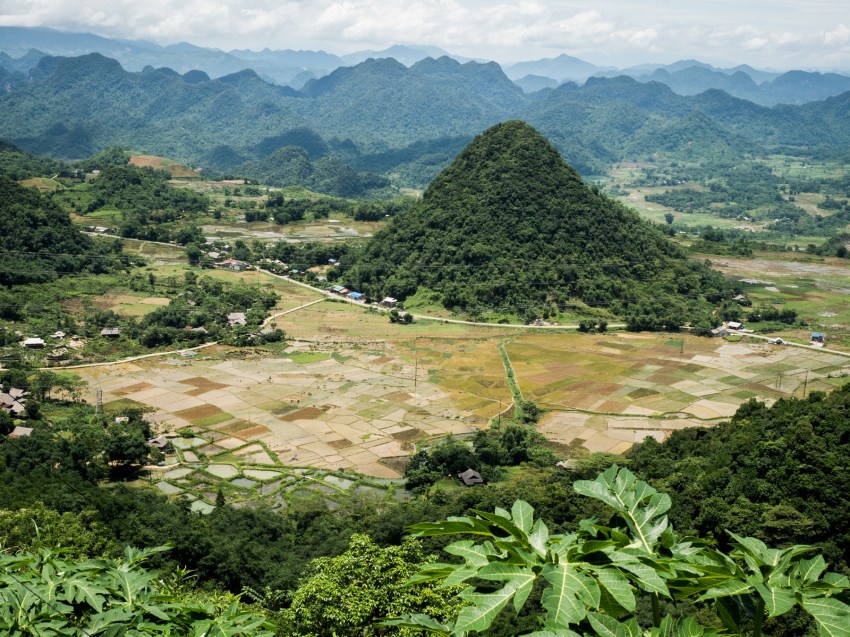 vietnam, ethnies minoritaire, rizières