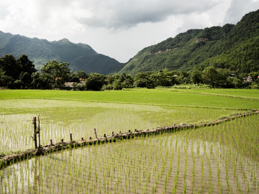 vietnam nord-riziere au vietnam-ethnies minoritaires du vietnam-photo vietnam