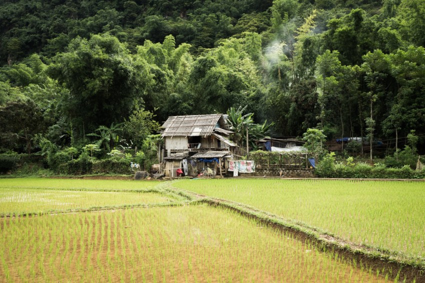 vietnam, ethnies minoritaire, rizières, vallée de mai chau
