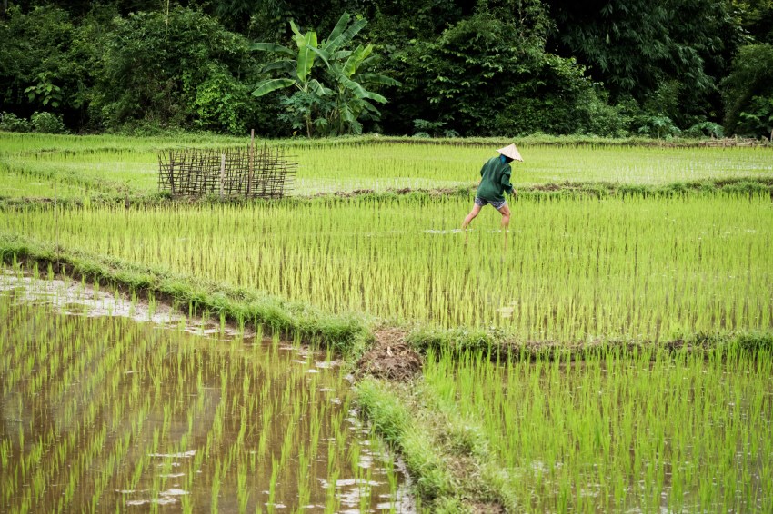 vietnam, ethnies minoritaire, mai chau
