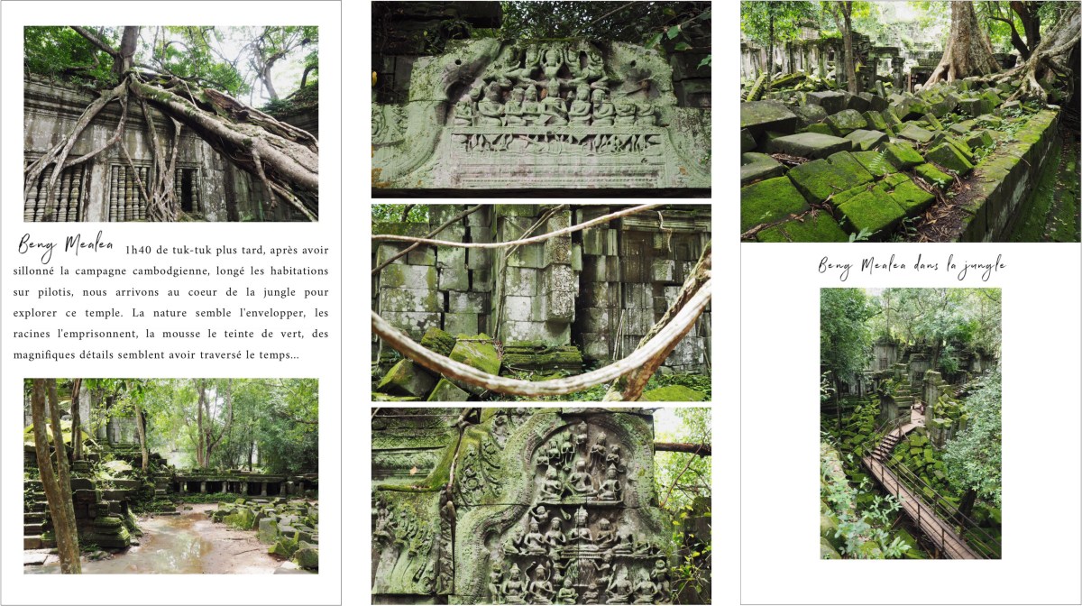cambodge, siem reap, angkor thom, bayon, temples d'angkor