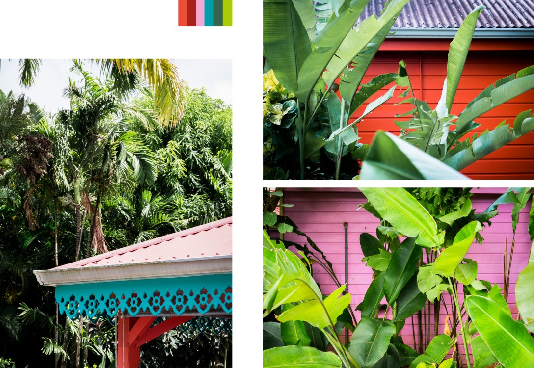 jardin botanique de deshaies, jardin tropical guadeloupe