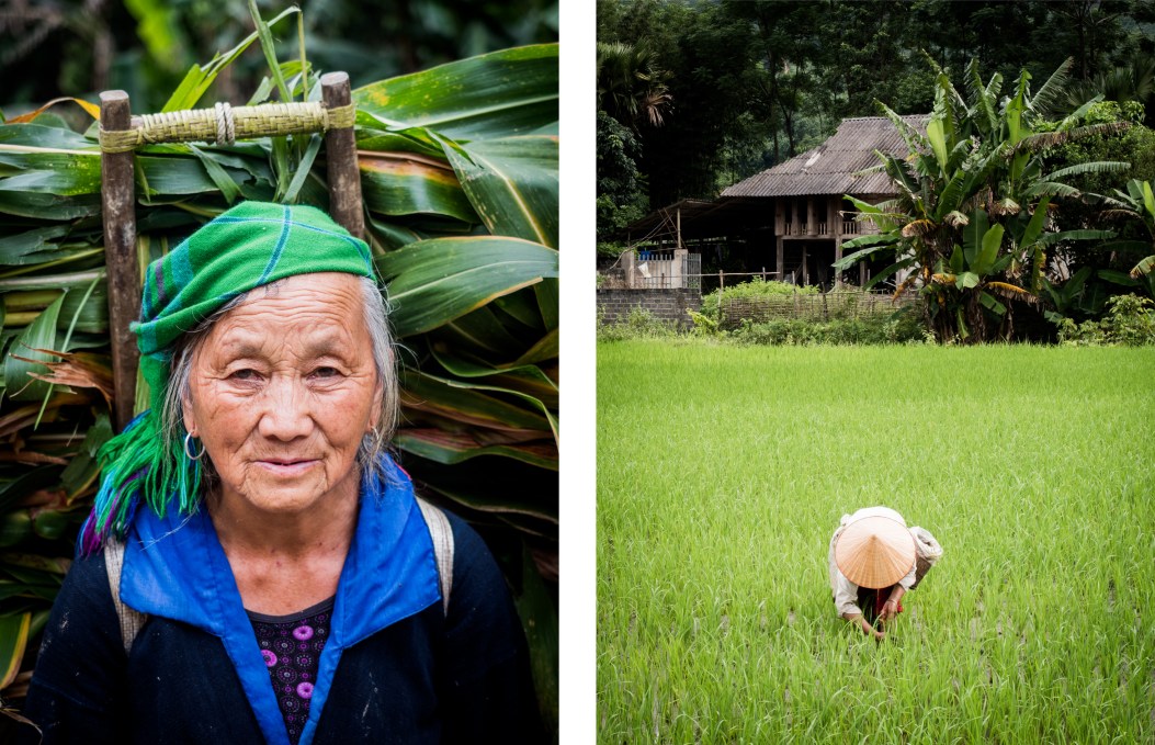 vietnam, ethnies minoritaire, rizières, vallée de mai chau