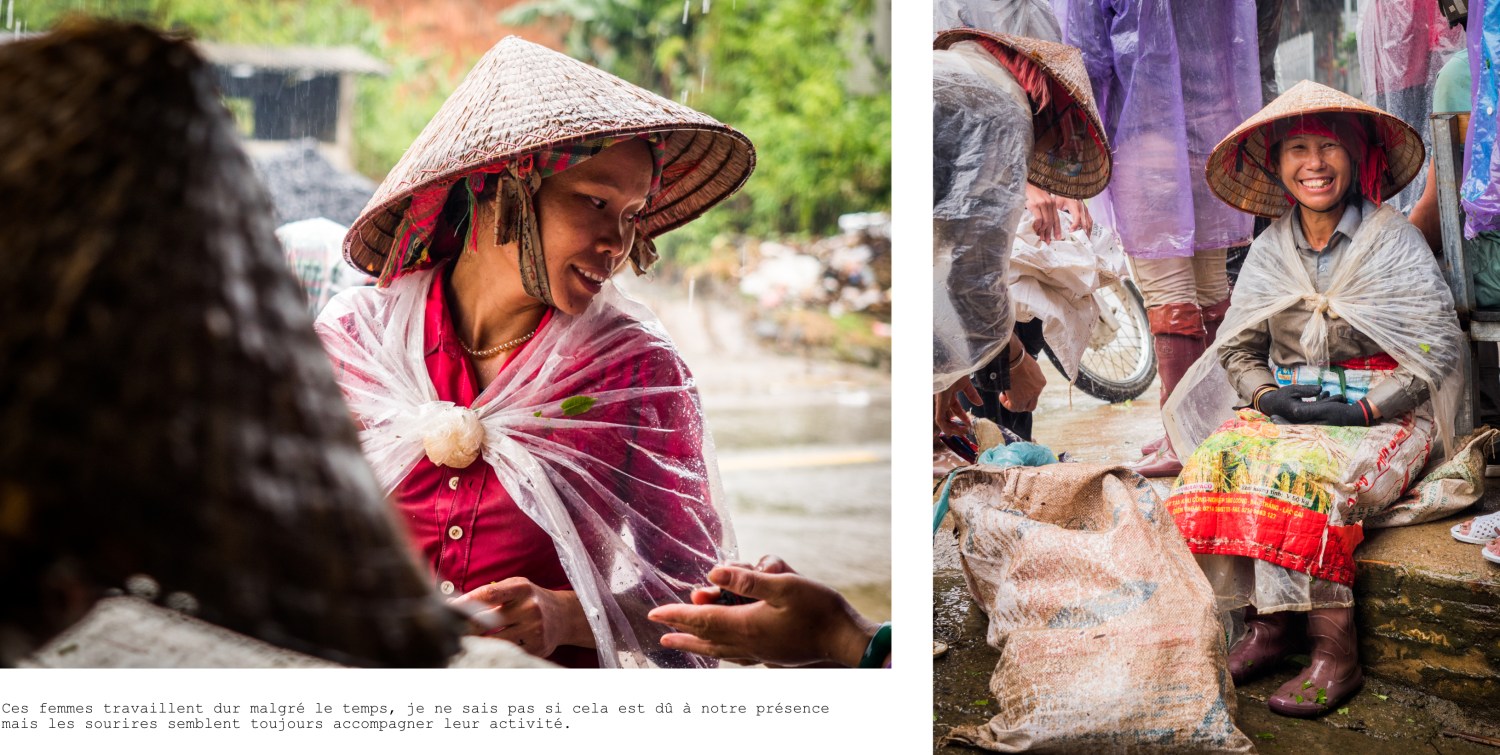 vietnam, ethnies minoritaire, thé vert, tan uyen