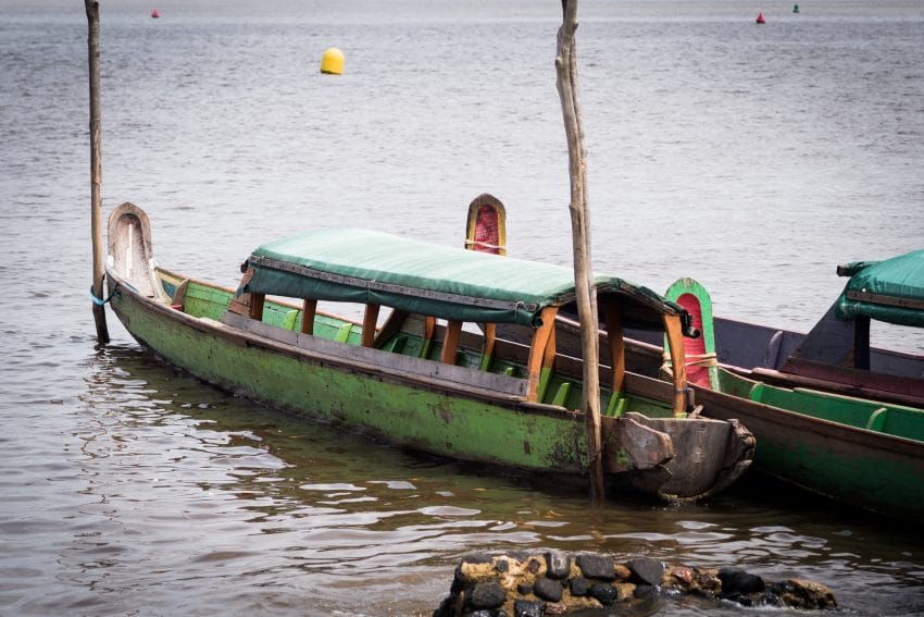 guyane Amazonie ; rive du maroni, fleuve st laurent -