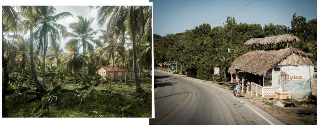 république dominicaine, samana, las terrenas, caraïbes, cayo levantado, los haitises