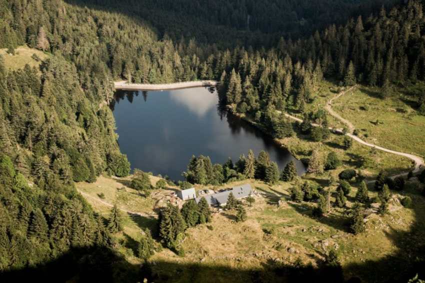 alsace, vosges, route des crêtes, montagne