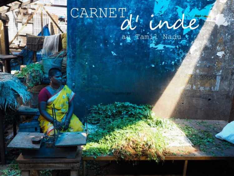 carnet voyage Kerala en Inde du sud - Photo Tamil Nadu, de Mahabalipuram à Madurai