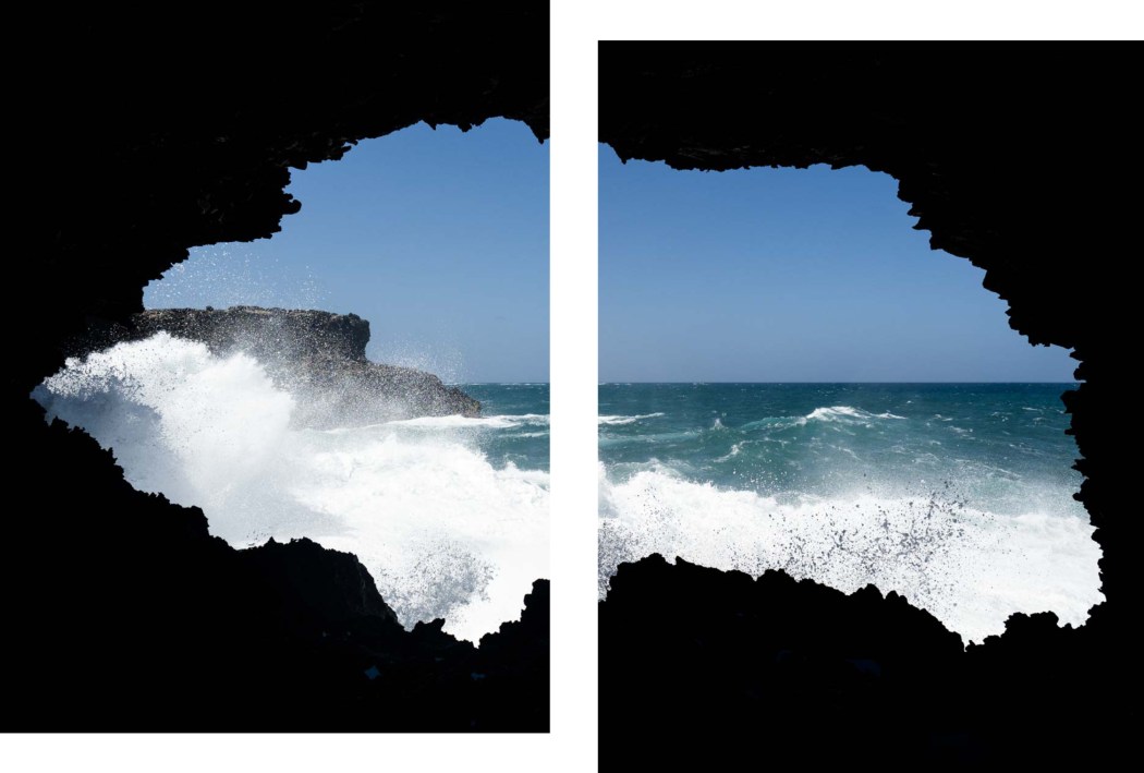 visiter la barbade - grottes - animal flore cave