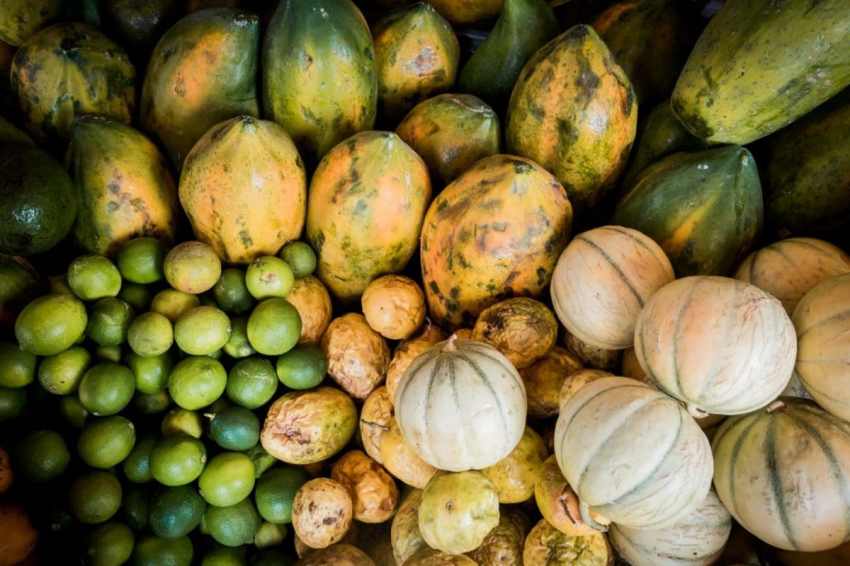 république dominicaine, bayahibe, saona, caraïbes
