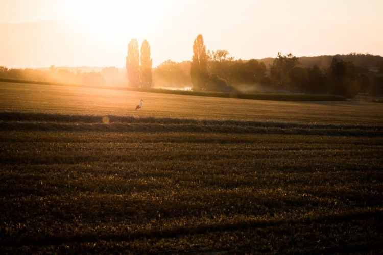 photo alsace-montagne vosges-beau village alsace-alsace a veloroute desvins alsaciens