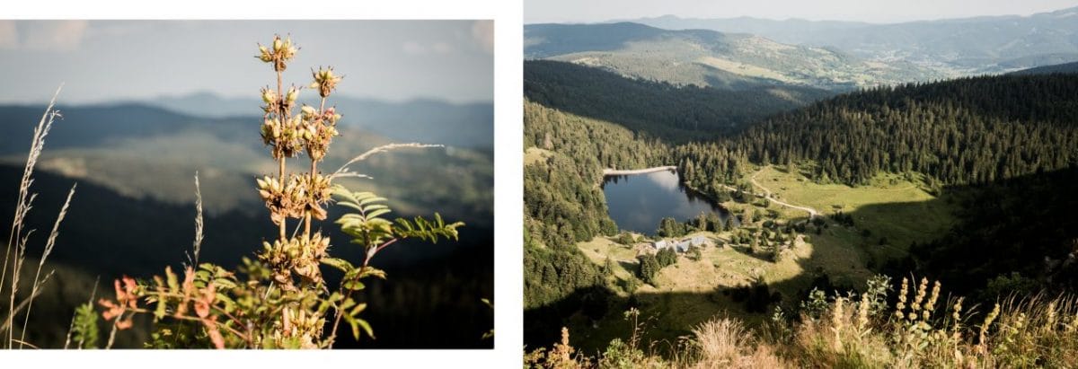 alsace, vosges, route des crêtes, montagne
