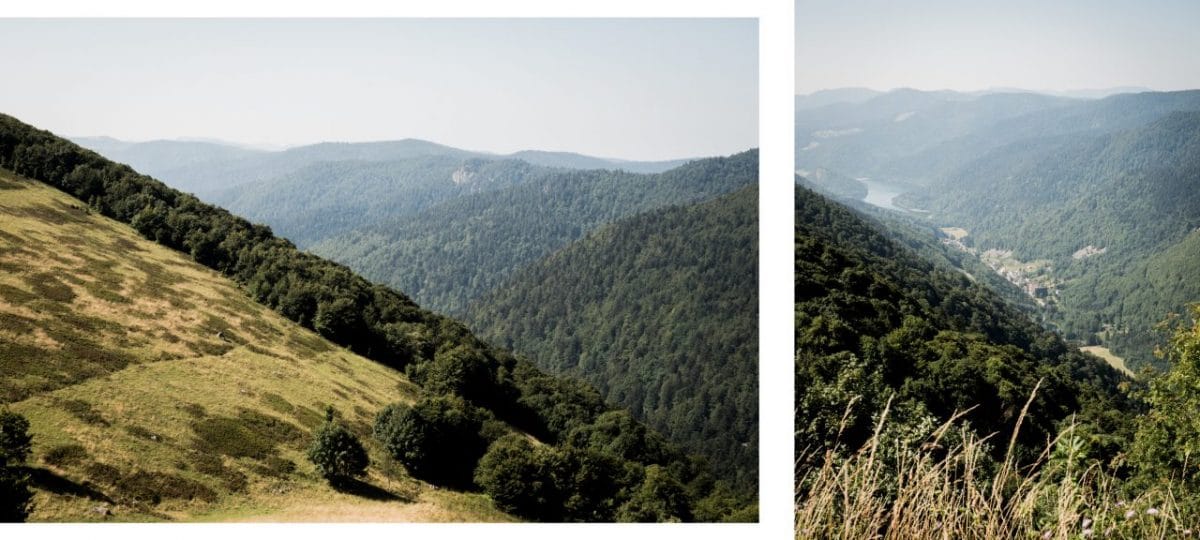 alsace, vosges, route des crêtes, montagne