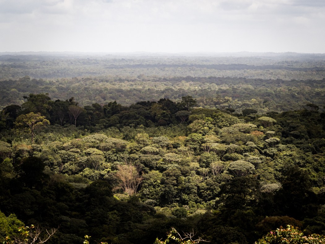 que voir en Guyane - village Hmong en Guyane - que faire à cacao - marché Hmong à cacao