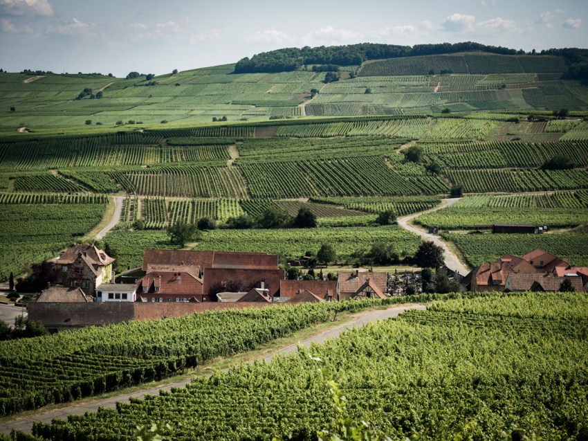 que faire en Alsace - pays de Ribeauvillé et Riquewihr - la route des vins en Alsace - ou dormir dans une cabane dans les arbres en Alsace