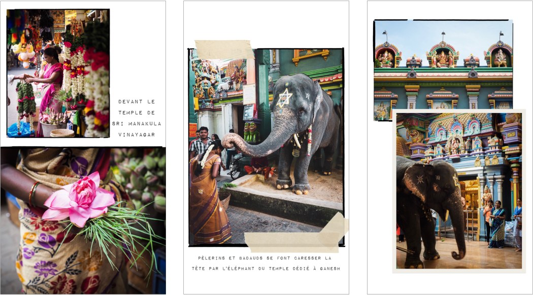 Elephant devant le sri manakula vinayagar temple - carnet de voyage inde du sud